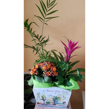 Vera Wang Purest Grace