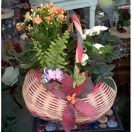 Canasto de plantas pequeño