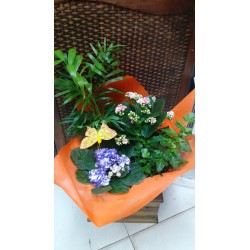 Cesta regalo de reyes