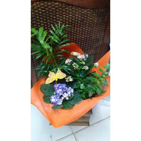 Cesta regalo de reyes