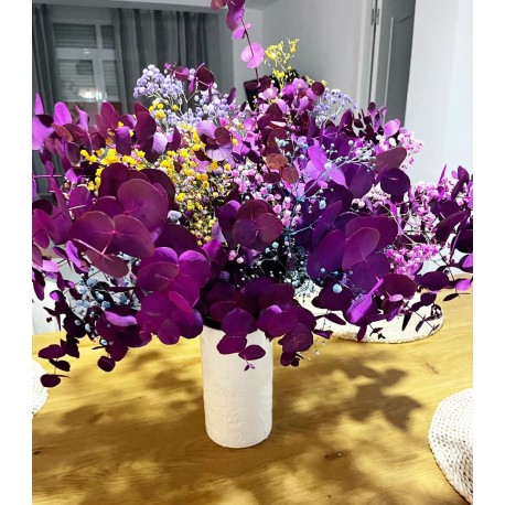 Ramo eucaliptos rosa y paniculata