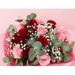 Ramo  doce rosas rojas y rosas rosa 